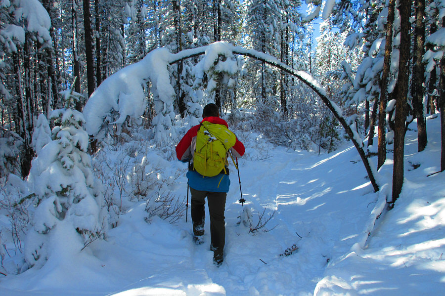 Walking in a winter wonderland!