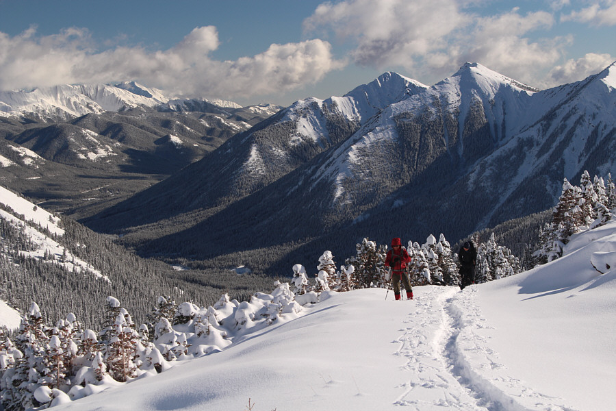 I should hike Odlum Ridge one of these days...