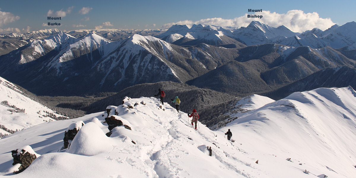 In snowy conditions like this, it's probably wisest to go back the same way.