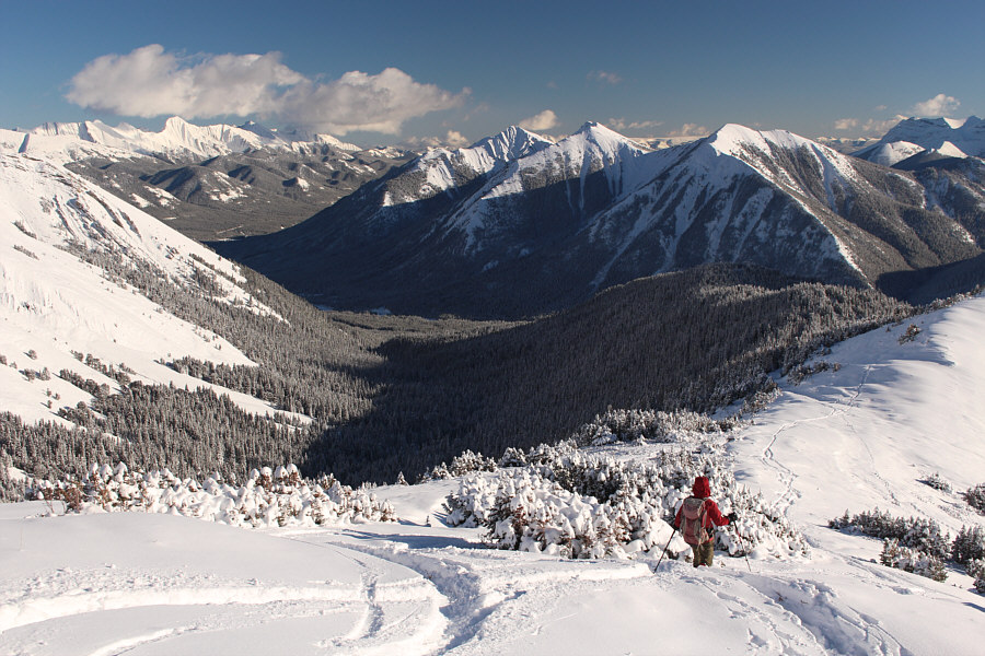 Too bad this slope isn't readily accessible for a ski descent in winter...sigh.