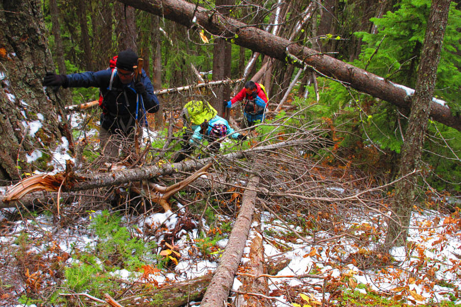 Misery does love company!