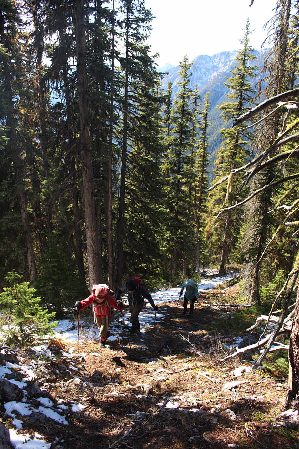 Still some light bushwhacking here but nothing too heinous.