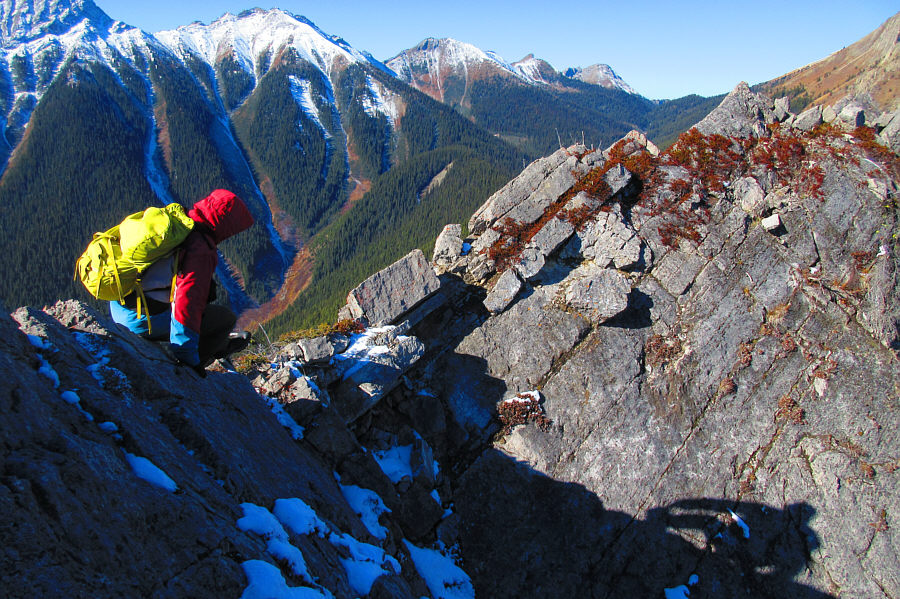 Not for the faint of heart!