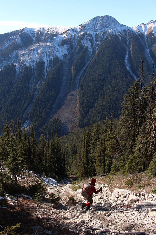 This is our ticket home!