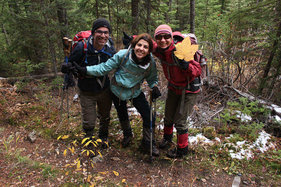 Okay, it's time to leaf!