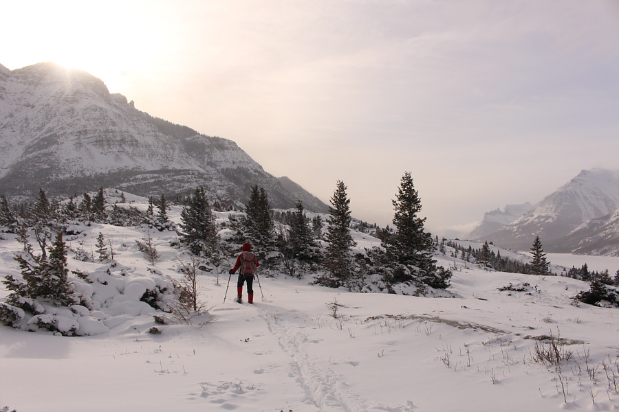 Still some ups and downs along the way!