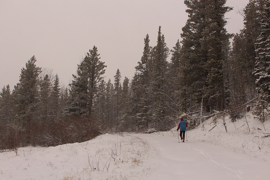 Maybe we should have brought skis?