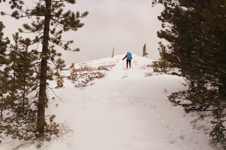 It kinda looks like Zosia is skiing here!
