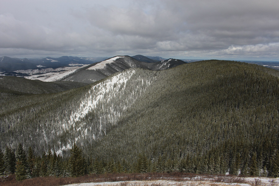 The clear-cut ridge looks more interesting though!
