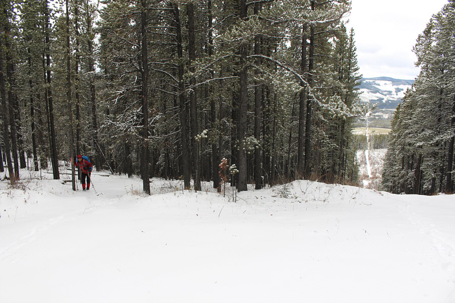 Can't be any worse than the cut line!