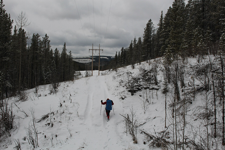 Only 350 metres further from here.