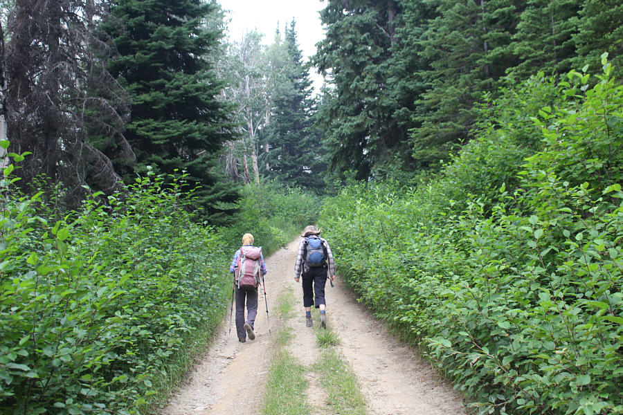 With some determination, I probably could have kept driving, but it wasn't worth risking damage to my vehicle so early in our road trip.