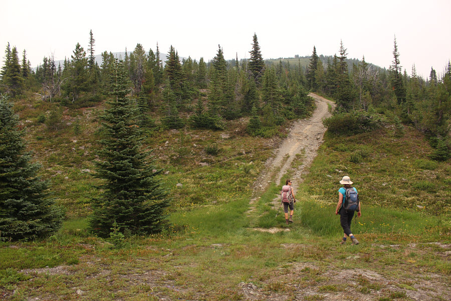 Need a 4WD vehicle to drive up here!