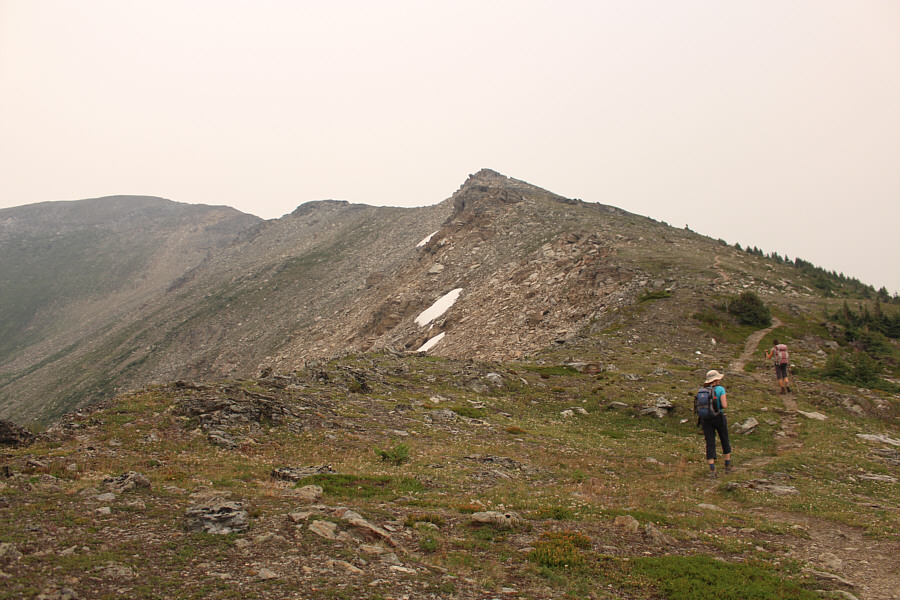 It's better to stick with the trail than trying to climb the ridge crest.