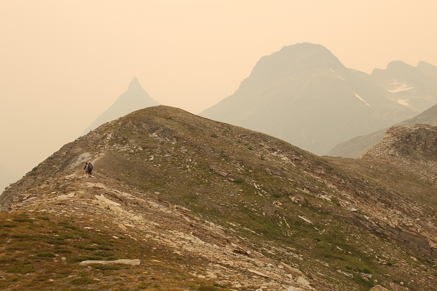 Nearly the same height as the previous high point.