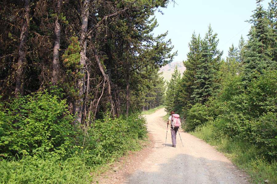 Aww man...we could've driven here!