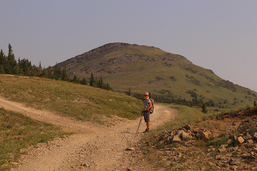 We spotted a grouse hen with chicks here on the way up, but on the way down, we spotted a small herd of deer with full racks.