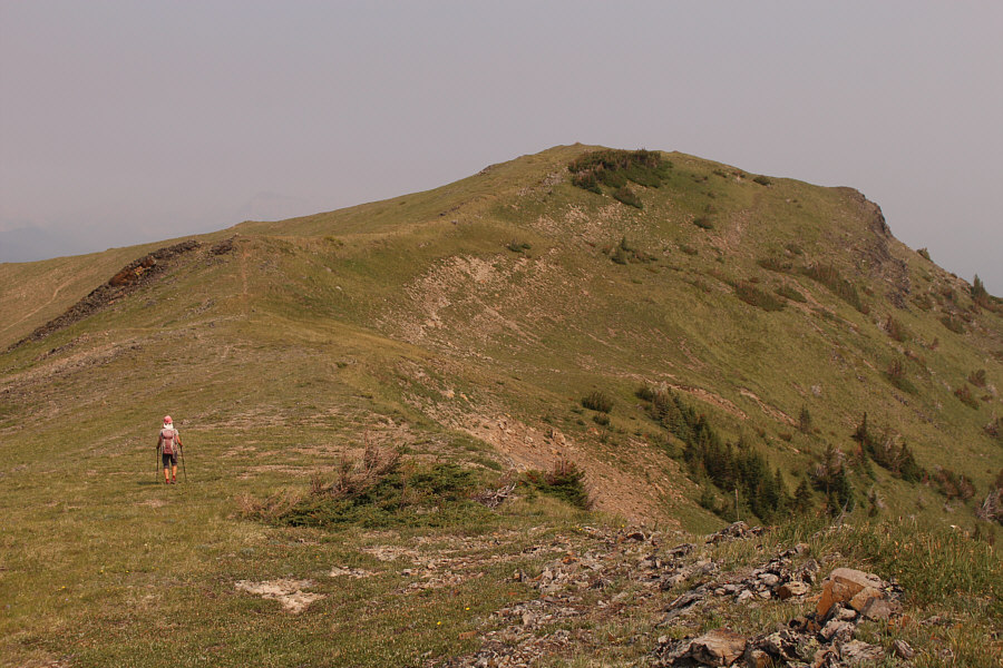 You bet yo' ass it's easy!