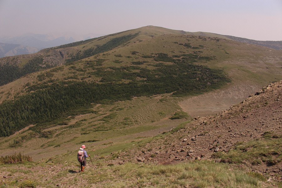 Don't be a hero; stick to the open grassy slopes!
