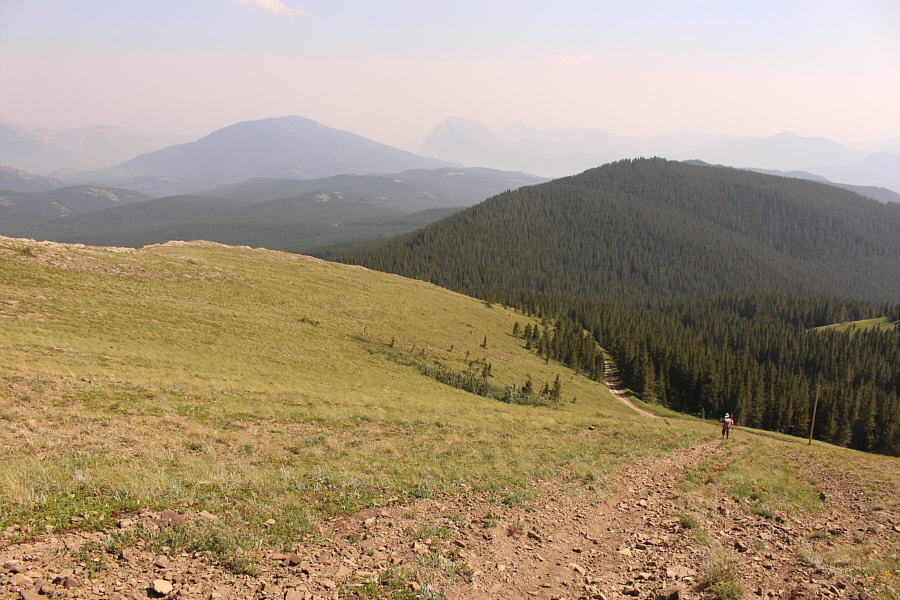 This would be an awesome slope to ski in winter...