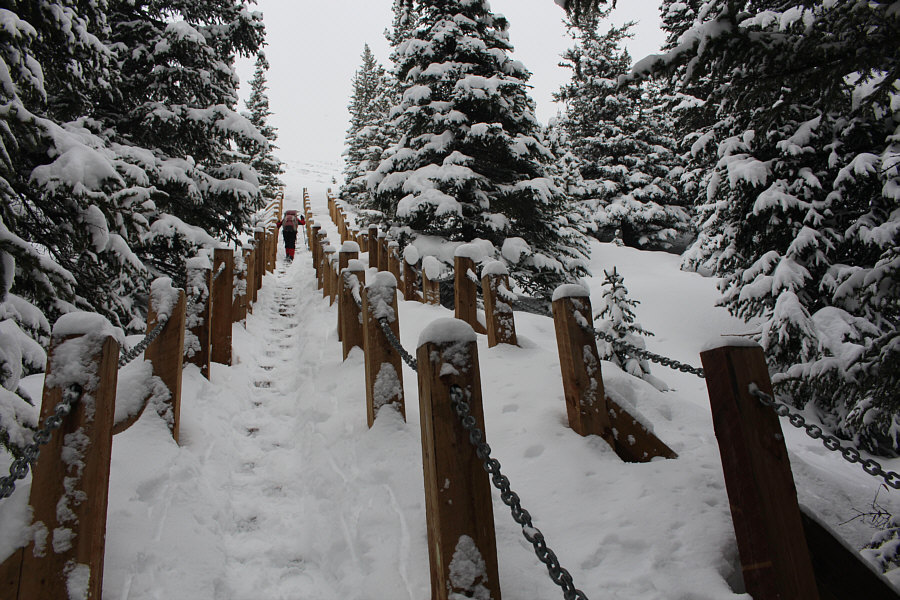 Couldn't they have installed an escalator instead?