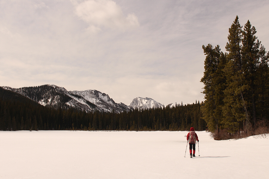 Probably not as nice when it's thawed out...