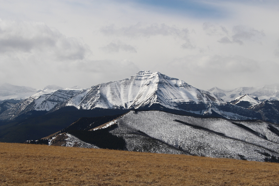 I hope to climb this someday...