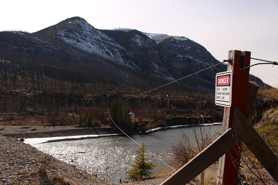 Looks like a perfect set-up for a zip line!