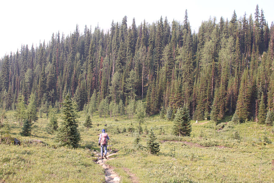 Welcome to BC...almost!