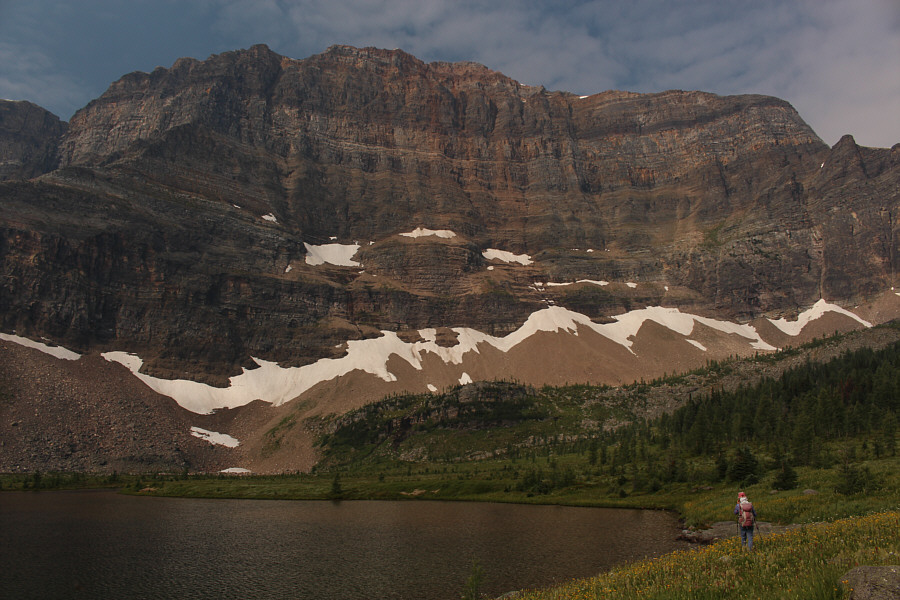 This would be a beautiful place to camp.