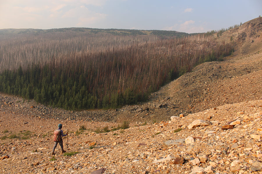 We shoulda come down this way too.