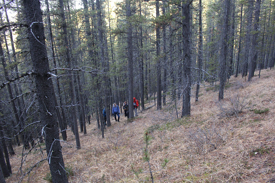 Steep but pleasant hiking here!