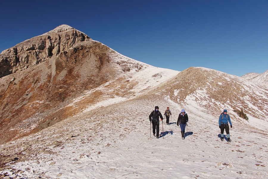 We didn't even notice the goats until we were quite far away...