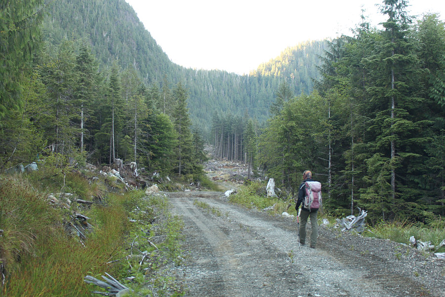 A few water bars here would have been tricky to drive over anyway.