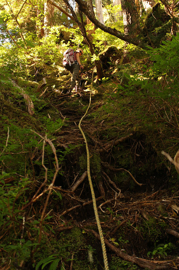 At least for going up...