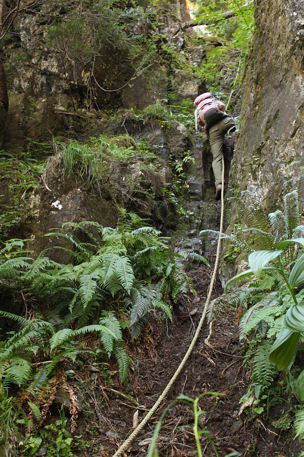 Streeeeeeeeeeeetch!!