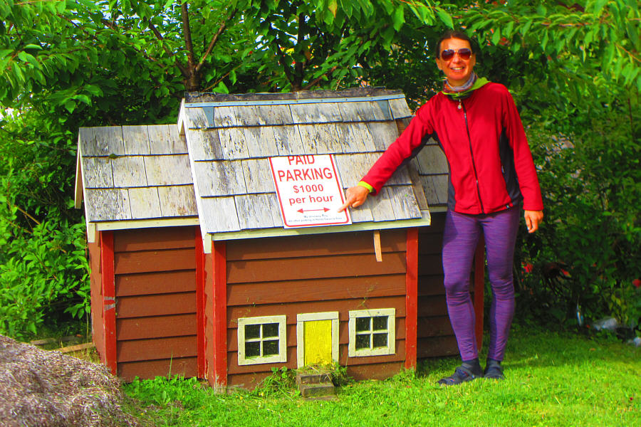 How much would a parking ticket cost?