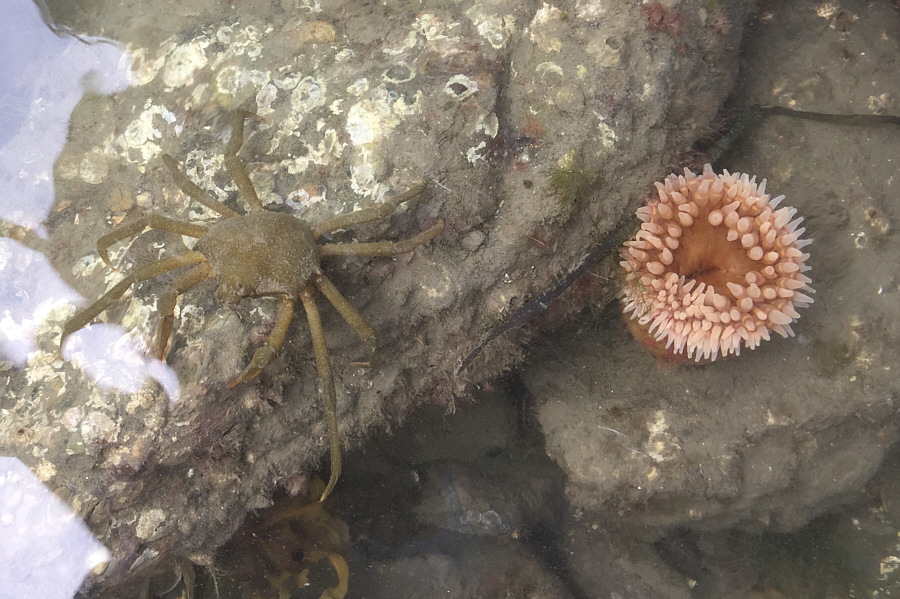 Not good for eating!