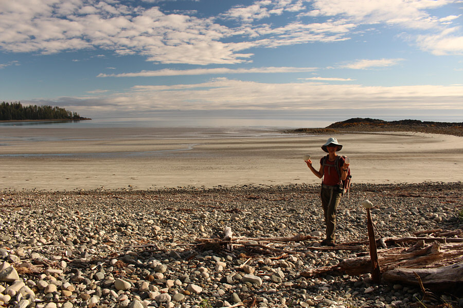 She sells seashells by the seashore.