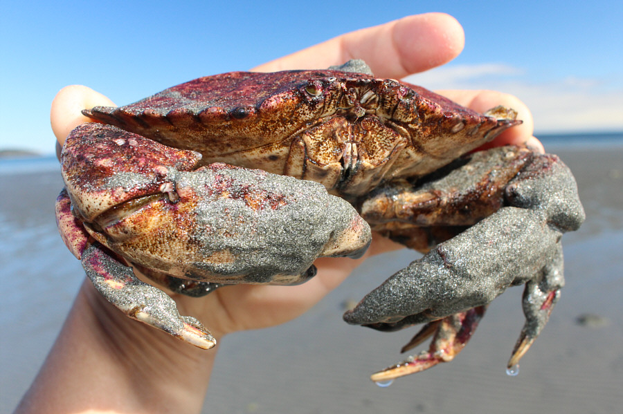 Just kidding, buddy!