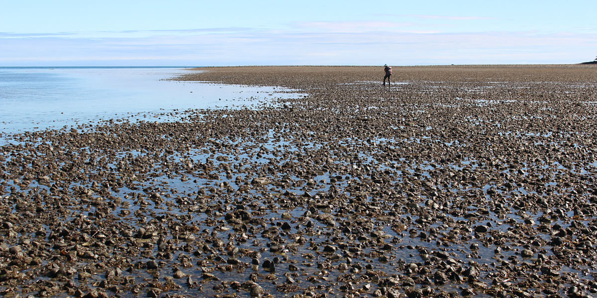 Waterproof boots are a must here!