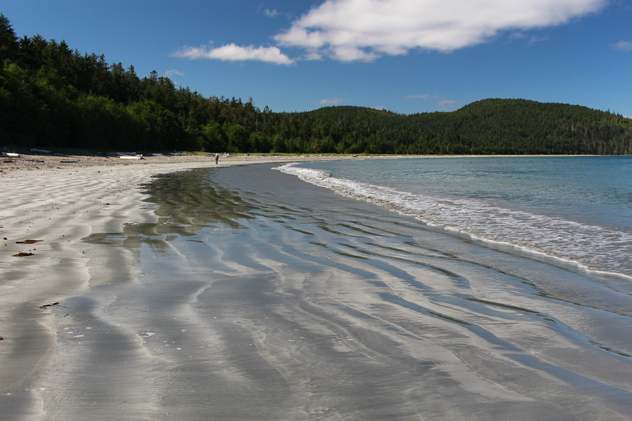 All we need are some palm trees!