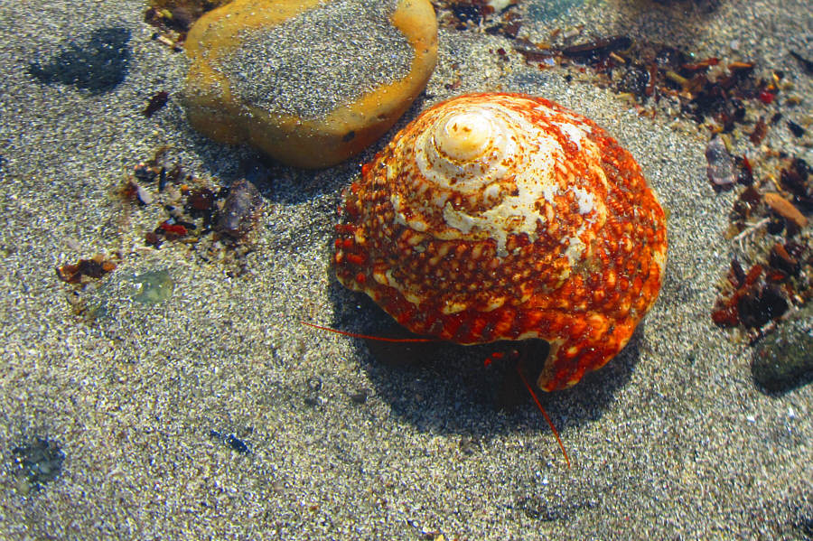 Some of the exterior needs painting...