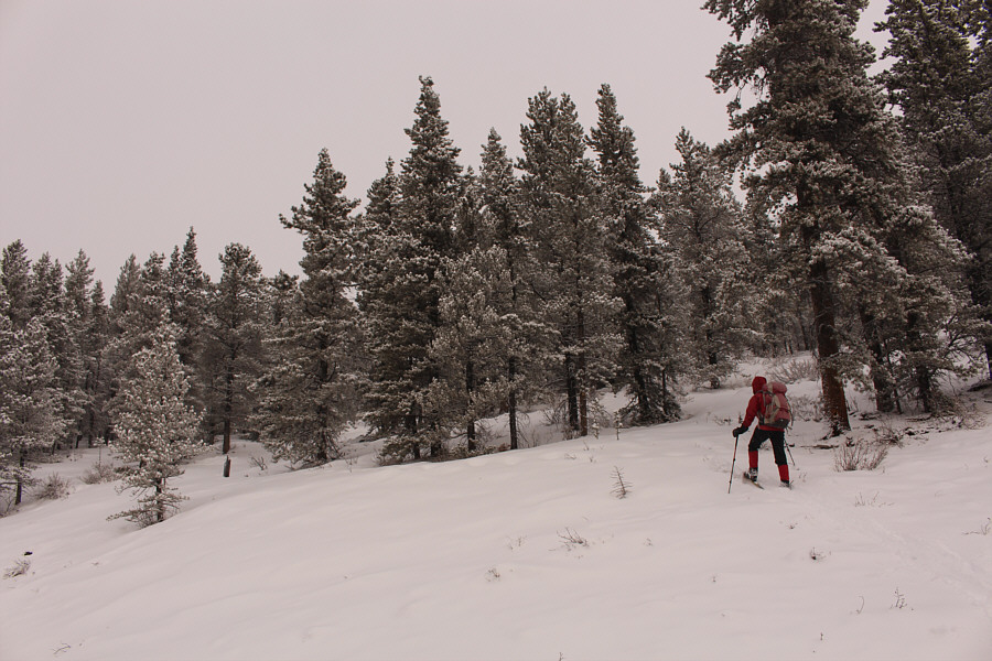 Snowpack is still thin in a few places.