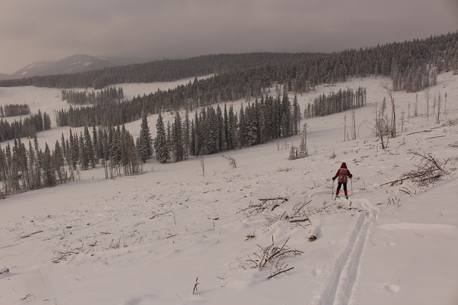 Ski touring at its finest?