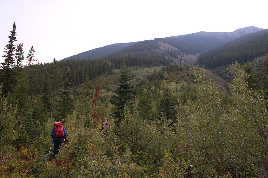 Some of the bushwhacking is not bad; some of it sucks.