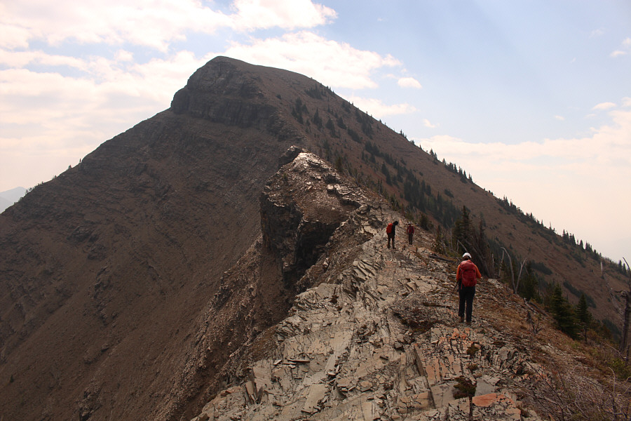 Most of the hard work is behind us!