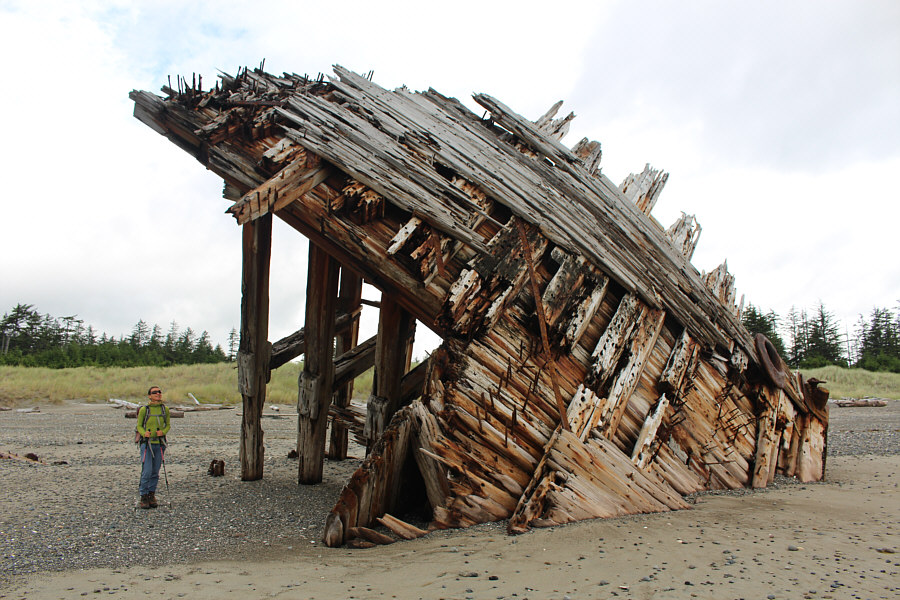 Good for hanging Christmas lights?