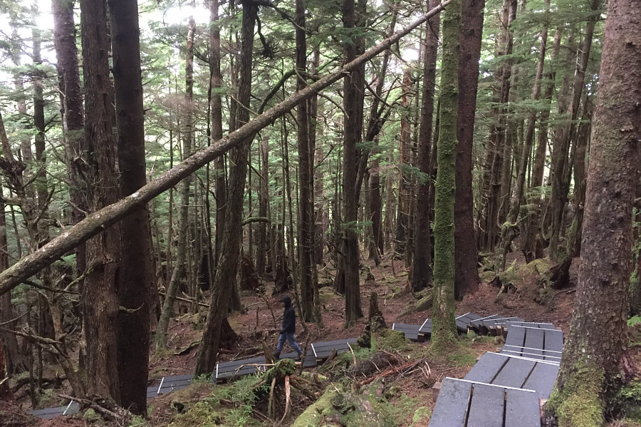 We should have brought a Slinky!