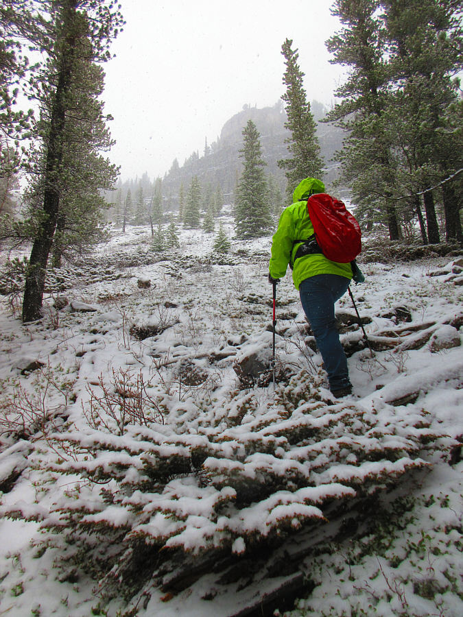 Off-trail hiking while it's snowing...how much more fun can it get?
